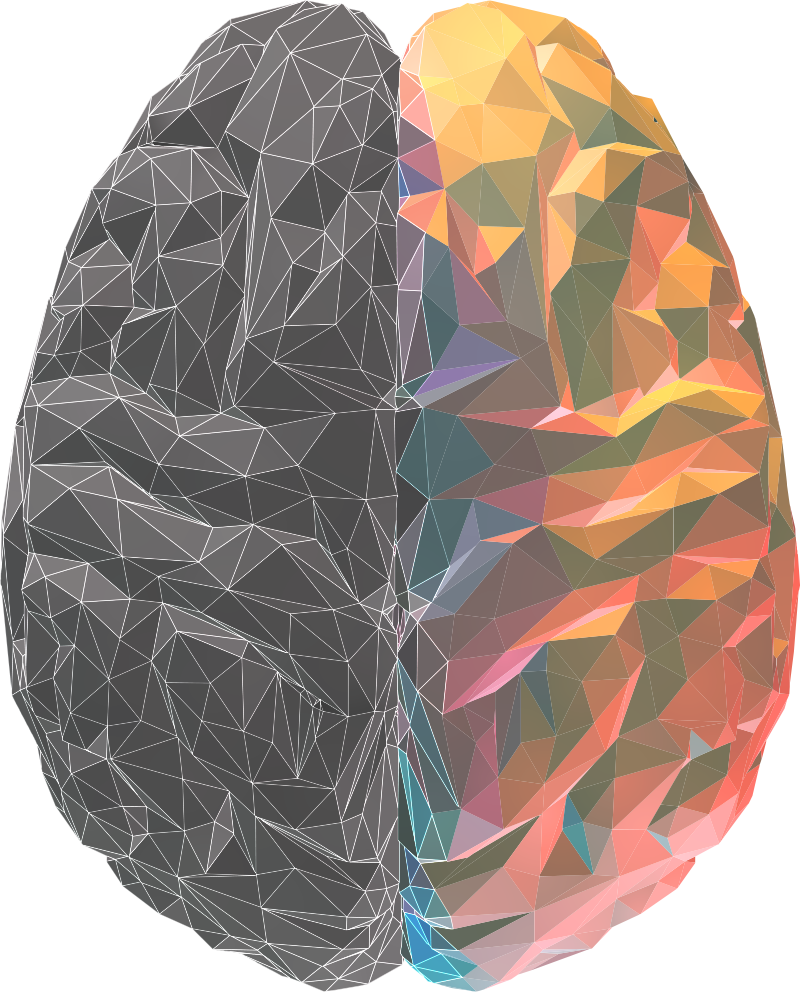 Left Side/ Right side brain