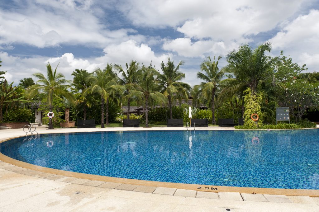 hotel pool with palm trees